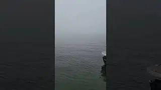 The fog was intense 😳 #fog #kids #scary #water #bay #fun