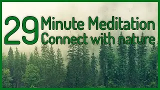 Sounds and images to improve your mood and connect with nature: 29 minutes of meditation.