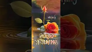 Good Morning flowers🌹🌼🥀💞 #love #song #beautifulflowers #viralvideo  #flower #youtubeshorts