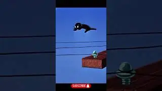 Jerry helped the seal escape from Tom #cartoon #tomandjerry #shorts