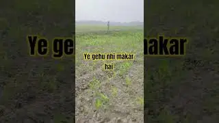 @yiannimize @YouNickViral #song #love #hindisong #bollywood #bollywoodsongs  ☘️☘️☘️☘️@code