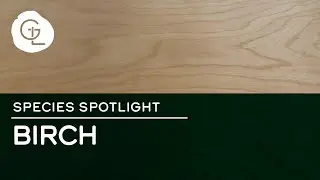 Rotary Birch Wood Veneer Sheets