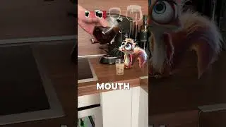Scrappy Gets Super Fast From Coffee #squirrel #pet #comedy