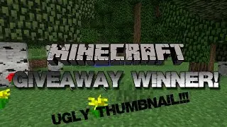 Minecraft Account Giveaway Winner!!!