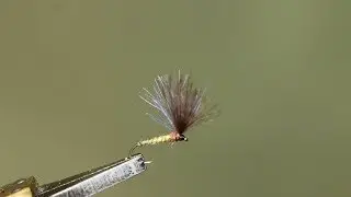 Voilier CDC Flash