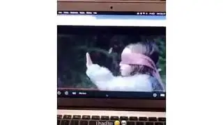 They really did this with a Bird Box scene 😂