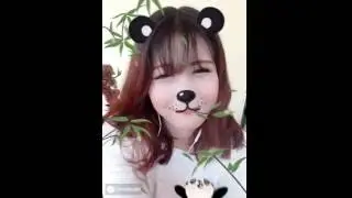 Cute panda 🐼😁