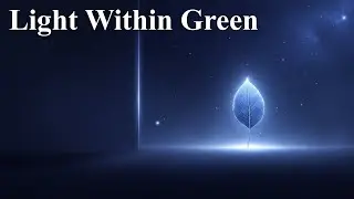 Photosynthesis Secrets The Quantum Tricks in Leaves