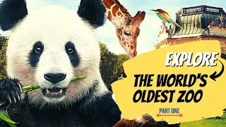 Visit to The World's Oldest Zoo | The Vienna Zoo, Austria | दुनिया का सबसे पुराना चिड़ियाघर | Part 1
