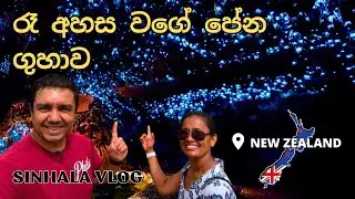 ගුහාව ඇතුලේ තරු පේන්නේ කොහොමද? - New Zealand Sinhala Vlog / Waitomo Glowworm Cave / Elephant Rock