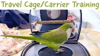 How To Train Your Bird To Use A Travel Cage/Carrier