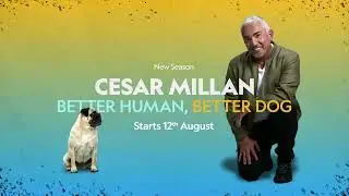 Cesar Millan BHBD Launch 15SEC  - National Geographic Wild | ZUKU