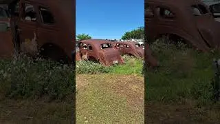 CTC Auto Ranch before they sold and crushed most Spring 2025