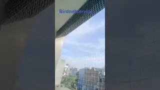 #birdnetting #balconydesignideas #balcony #construction #home