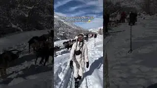 Facing my fears all 2023 #mom #shorts #family #travel #dog #snow #wife #utah #travelvlog #brave
