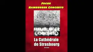 Rank The Tracks Hamburger Concerto Focus
