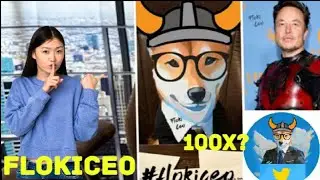 FLOKI CEO VAI DOMINAR O MERCADO DE MEMECOINS - QUEIMAS ABSURDAS.