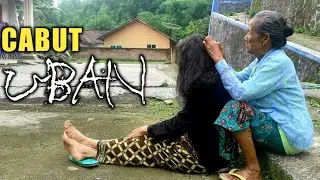 Nenek Cabut Uban rambut/grandma plucking gray hair