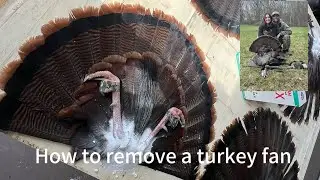 How to PROPERLY Remove a Turkey Fan