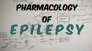 Pharmacology of EPILEPSY | Pharmacy Hunt