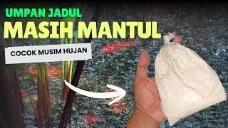 UMPAN IKAN MAS ANDALAN UNTUK MUSIM HUJAN ‼️Jadul Tapi mantul