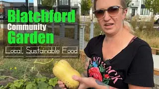 Blatchford Community Garden - Local, Sustainable Food