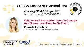 Why Animal Protection Laws in Canada Are Broken (and How to Fix Them) | Camille Labchuk