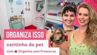 Cantinho do Pet | Dicas para organizar