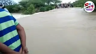 Pali Marwar News Latest // मारवाड़ जंक्शन के नरसिंग पूरा बाला विक्राल रूप में