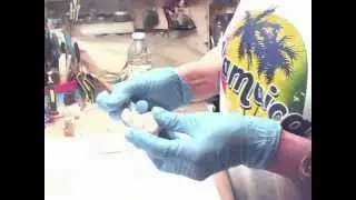 part1bunny.wmv