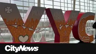Tourism Calgary optimistic about travel in 2025 despite tensions between Canada and the US