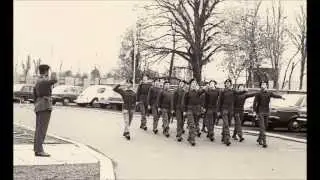 The Sprig Of Shillelagh & Garryowen  - The Ulster Defence Regiment