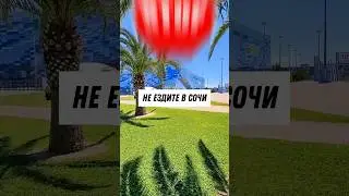 Это нужно знать про Сочи🏖