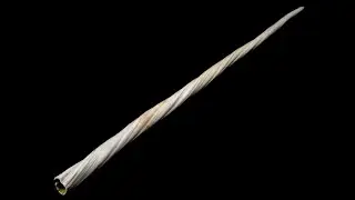 The Unicorn Tapestries: Unicorn Horn or Narwhal Tusk