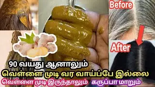 இஞ்சி இருக்கா? அப்போ 90 வயதானாலும் வெள்ளை முடி வரவே வராது /Chellakutty Home