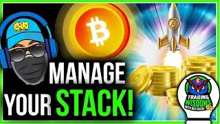 MANAGE YOUR BANKROLL LIKE A PRO!! (KEEP TRACK OF YOUR CRYPTO PROFIT)