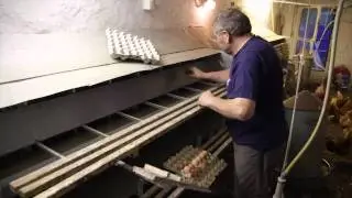 Biohof Struwe