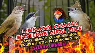 TEMBAKAN KASARAN MATERI VIRAL 2026 | KAPAS TEMBAK JINGJING PETULAK TENGKEK BUTO CUCAK JENGGOT