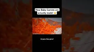 Как на самом деле делают мини-морковь! 😳 #морковь #миниморковь