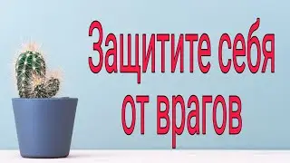 Защитите себя от врагов. | Тайна Жрицы |