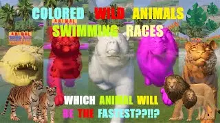 ANIMALS SWIMMING RACES IN PLANET ZOO-COLORED WILD ANIMALS RACES, BENGAL TIGER, LION, BEAR,CROCODILE