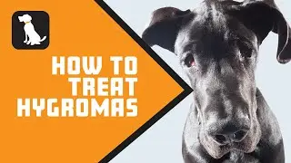 How to Treat Hygromas