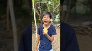 Kaccha mango is more delicious for chiku 😍😋 #shorts #ytshorts #viralvideos #mango