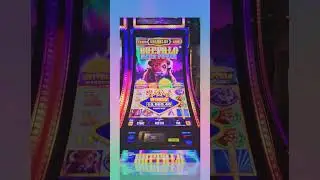Buffalo Mega Power Jackpot #shorts  #slot #slotscasinogames #casinogame #slotdamn #casino
