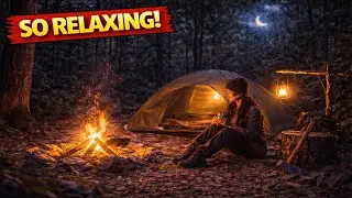 Solo Girl Overnight Wilderness Camping 🌙🏕️🌲 Relaxing Tent Night with Pure Nature ASMR