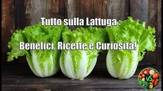 La Lattuga: Benefici e Curiosit&agrave;!