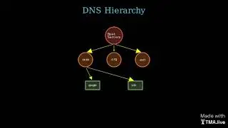The Domain Name System (DNS): The Phonebook of the Internet