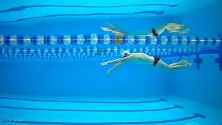 Freestyle Swimming Stroke Review | Above & Underwater Comparison (TC)
