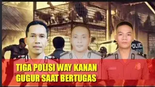 Kapolsek Negara Batin Way Kanan dan 2 Polisi Gugur Saat Gerebek Sabung Ayam