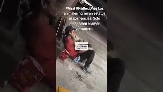 #Viral #Reflexiones Los animales no miran estatus ni apariencias. Solo reconocen el amor verdadero.